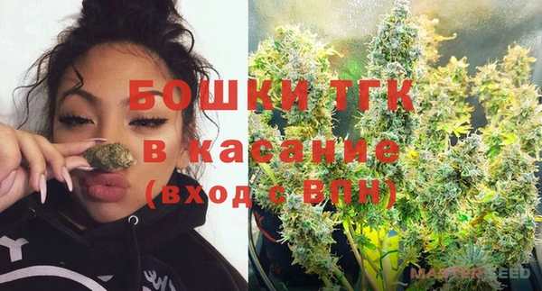 ECSTASY Магас