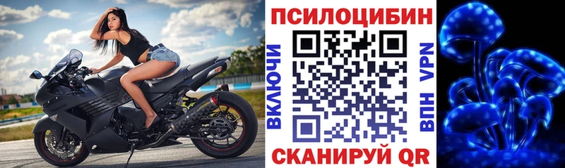 Галлюциногенные грибы мухоморы  Горячеводский 